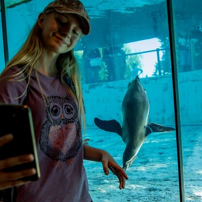Wizyta w ZOO w Parku Śląskim. fot. Tomasz Żak / UMWS