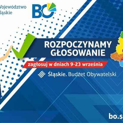 graf. mat. organizatora