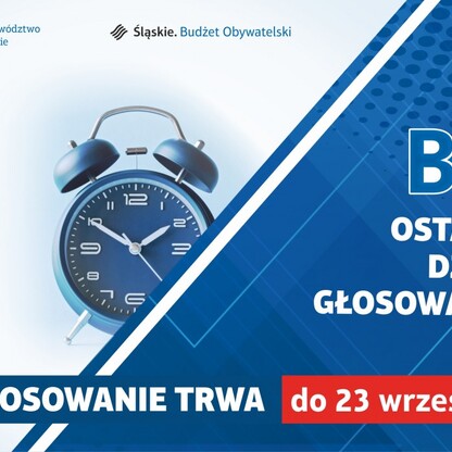 Ostatnie godziny głosowania. graf. UMWS
