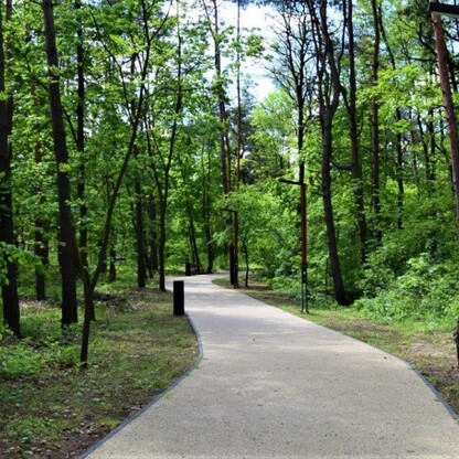Park Miejski w Siewierzu. fot. mat. organizatora