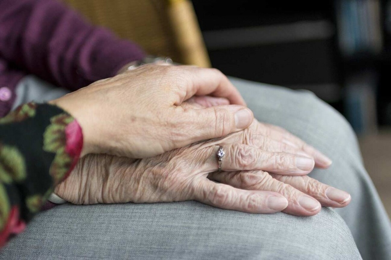 hands-www.jpg