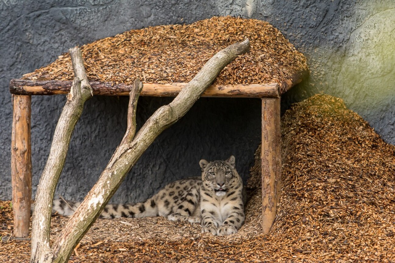 umws20210517_zoo_p_tz002.jpg
