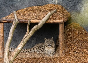 umws20210517_zoo_p_tz002.jpg
