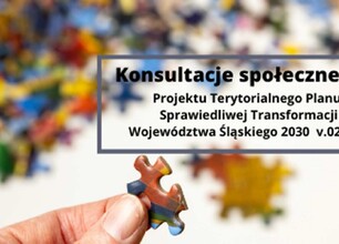 Konsult-TPST-trans.jpg