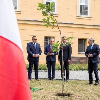 fot. Tomasz Żak / UMWS