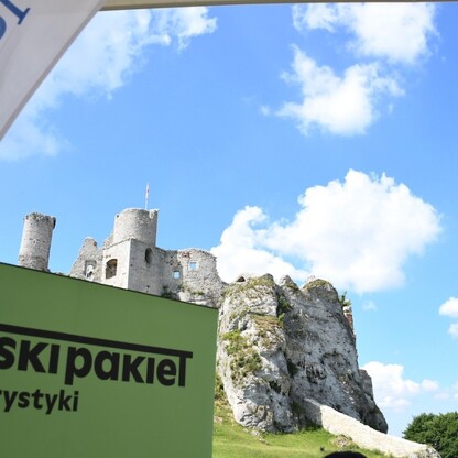 fot. Patryk Pyrlik / UMWS