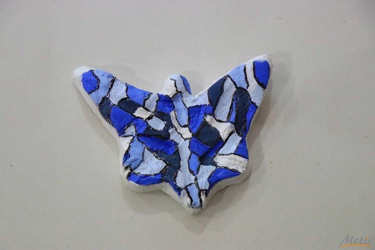 motyl.jpg