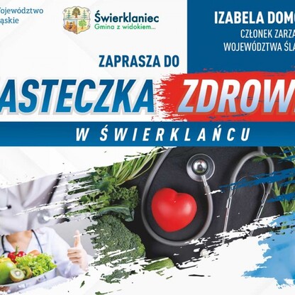graf. mat. organizatora