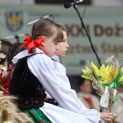 fot. Tomasz Żak / UMWS