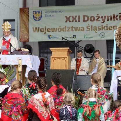 fot. Tomasz Żak / UMWS