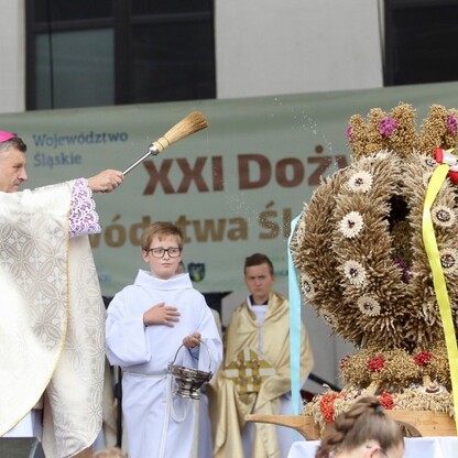fot. Tomasz Żak / UMWS