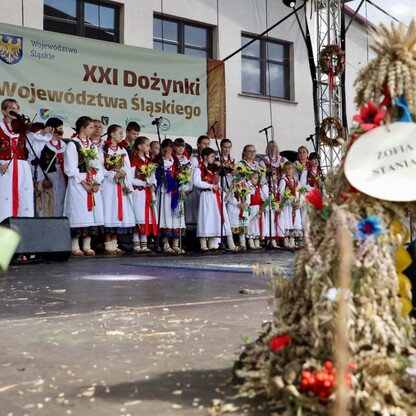fot. Tomasz Żak / UMWS