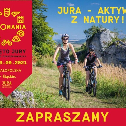 graf. mat. organizatora