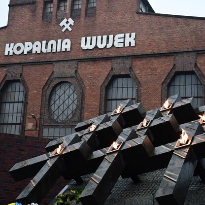 fot. Patryk Pyrlik / UMWS
