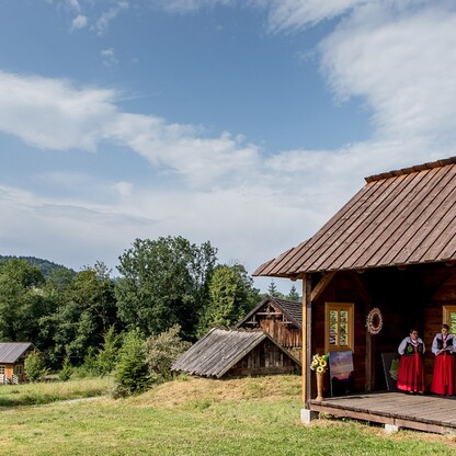 fot. arch. UMWS Tomasz Żak