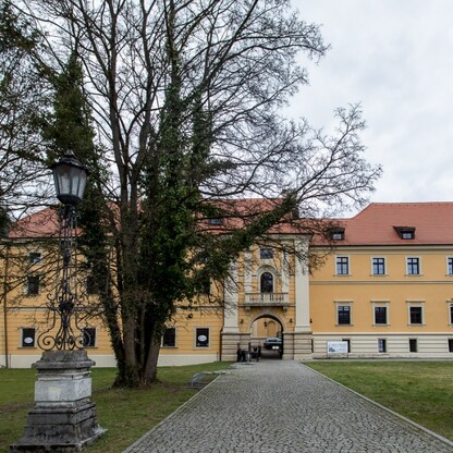 fot. Tomasz Żak / UMWS