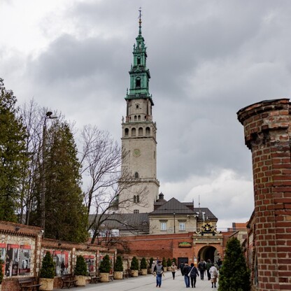 fot. Andrzej Grygiel / UMWS