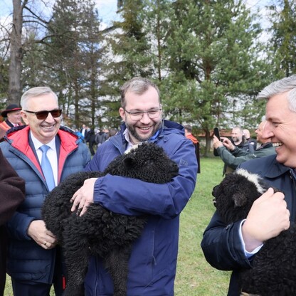 fot. Andrzej Grygiel / UMWS