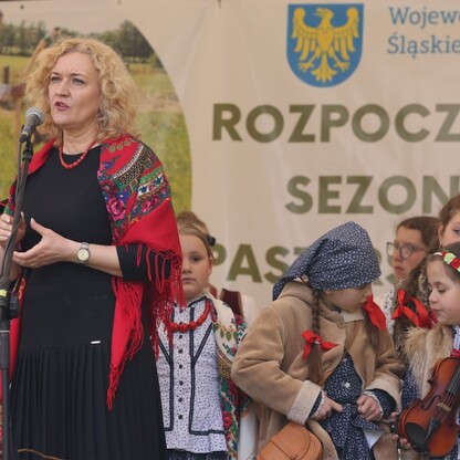 fot. Andrzej Grygiel / UMWS