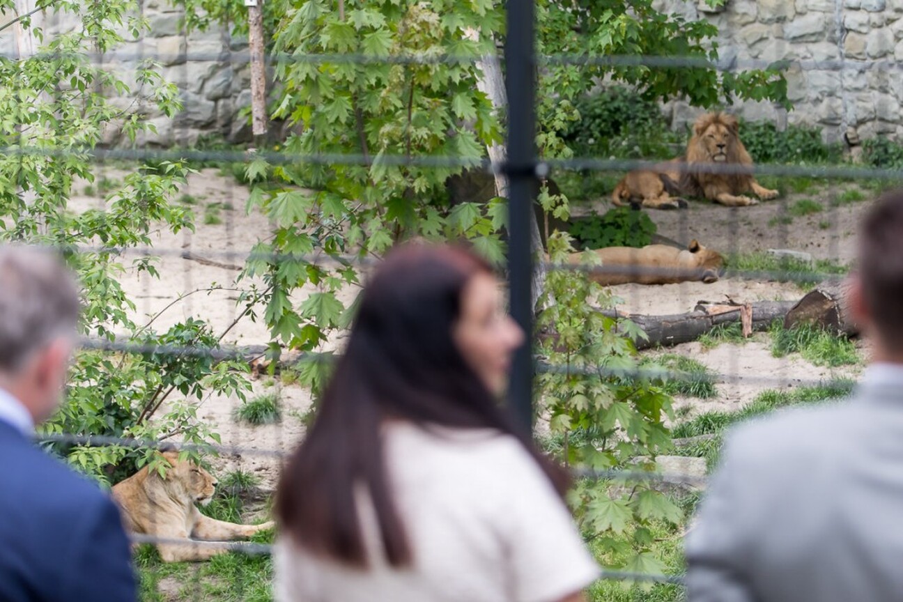 umws20220511_zoo_tz001.jpg