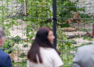 umws20220511_zoo_tz001.jpg