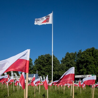 Bieg Bohaterów - meta. fot. Tomasz Żak / UMWS