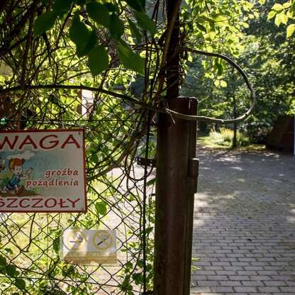 „Śląskie dla pszczół” fot. Tomasz Żak / UMWS