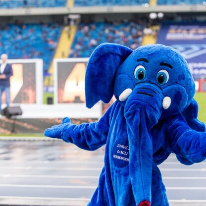 Silesia Memoriał Kamili Skolimowskiej. fot. Tomasz Żak / UMWS