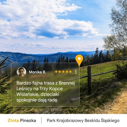 Park Krajobrazowy Beskidu Śląskiego. graf. GOOGLE