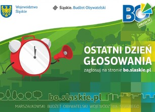 glosowanie-ostatni-dzien_www.jpg