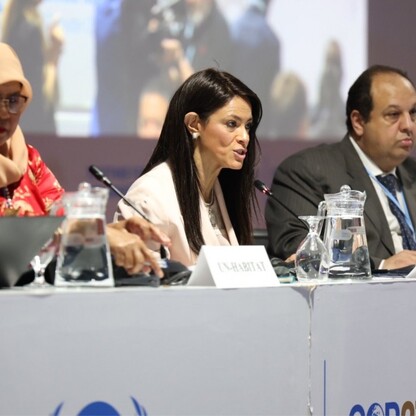 COP27 w egipskim Sharm-el-Sheikh. fot. Andrzej Grygiel / UMWS