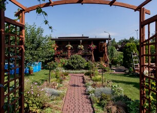 umws20210721_rod_tz003.jpg