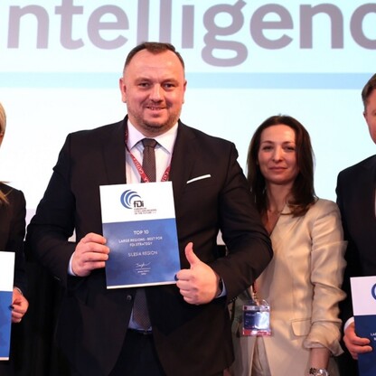 fot. Andrzej Grygiel / UMWS