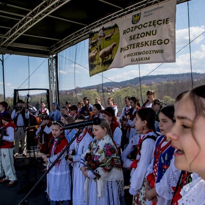 Redyk w Rychwałdzie. fot. Tomasz Żak / UMWS