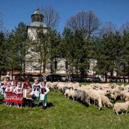 Redyk w Rychwałdzie. fot. Tomasz Żak / UMWS