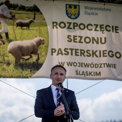 Redyk w Rychwałdzie. fot. Tomasz Żak / UMWS