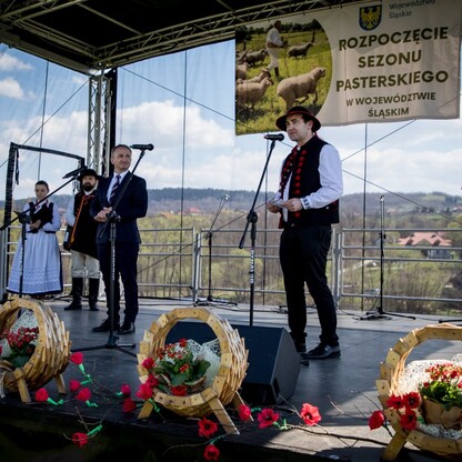 Redyk w Rychwałdzie. fot. Tomasz Żak / UMWS