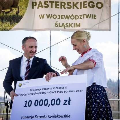 Redyk w Rychwałdzie. fot. Tomasz Żak / UMWS