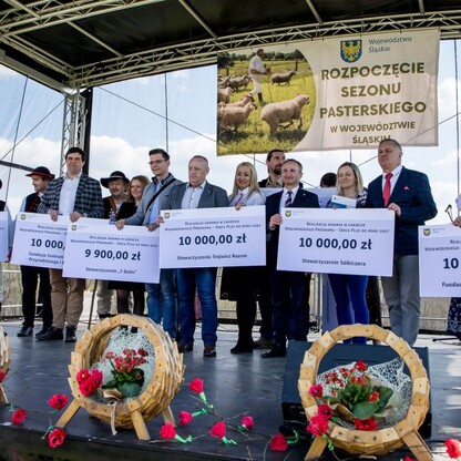 Redyk w Rychwałdzie. fot. Tomasz Żak / UMWS