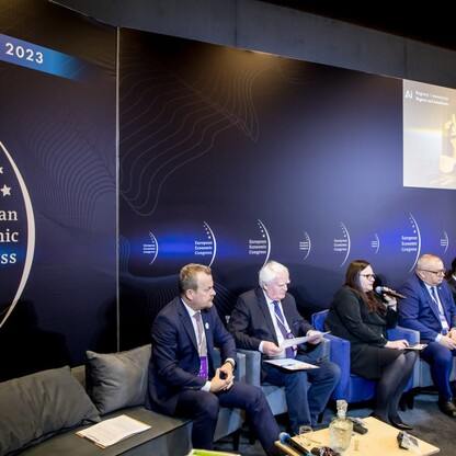 Panel: Regiony i Inwestycje, fot. Tomasz Żak / UMWS