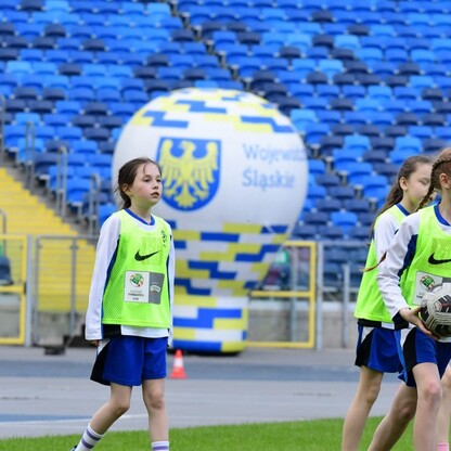 Nagrody i granty dla sportowców. fot. UMWS