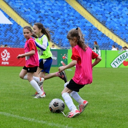 Nagrody i granty dla sportowców. fot. UMWS