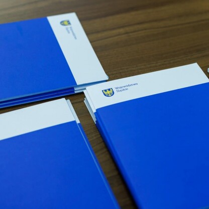 Rada ds. Sprawiedliwej Transformacji Województwa Śląskiego. fot. Andrzej Grygiel / UMWS
