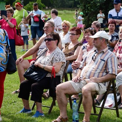 Piknik Rodzinny z okazji Narodowego Dnia Powstań Śląskich. fot. UMWS