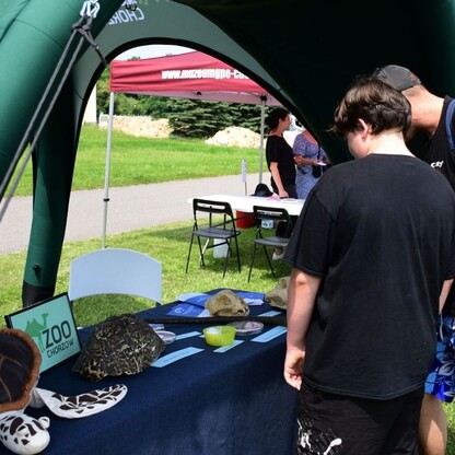 Piknik Rodzinny z okazji Narodowego Dnia Powstań Śląskich. fot. UMWS