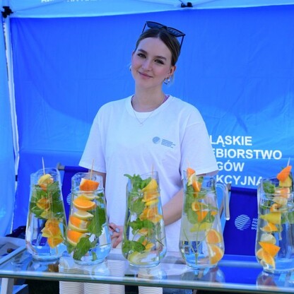 Piknik Rodzinny z okazji Narodowego Dnia Powstań Śląskich. fot. UMWS