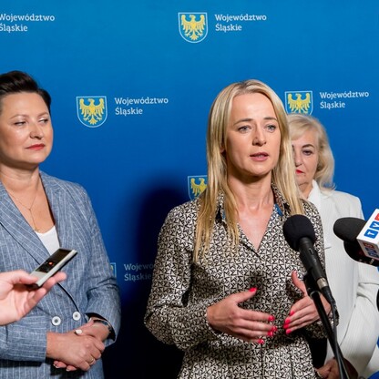 Wsparcia leczenia niepłodności metodą in-vitro - konferencja prasowa. fot. Tomasz Żak / UMWS
