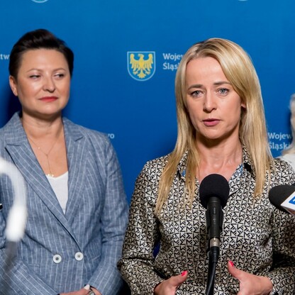 Wsparcia leczenia niepłodności metodą in-vitro - konferencja prasowa. fot. Tomasz Żak / UMWS