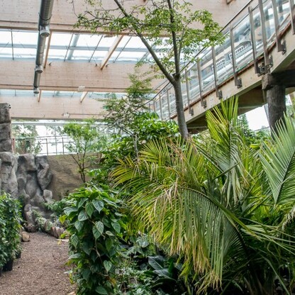 Pawilon lasu deszczowego w Śląskim Ogrodzie Zoologicznym. fot. Tomasz Żak / UMWS
