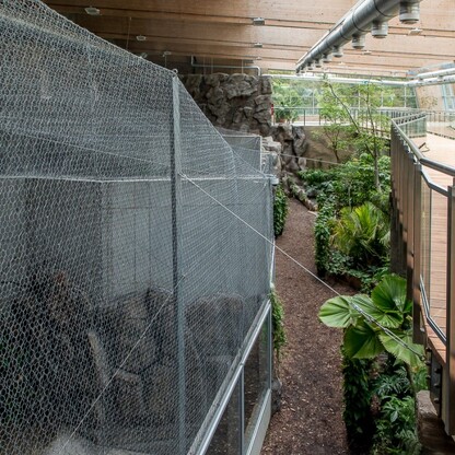 Pawilon lasu deszczowego w Śląskim Ogrodzie Zoologicznym. fot. Tomasz Żak / UMWS